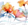Flowers-11 UV DTF Transfer