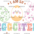 Adult (12" Wide)