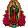 Lady Of Guadalupe Dtf Transfer