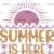 Adult (12" Wide)