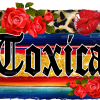 Toxica Sarape Dtf Transfer