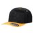 Black/Gold