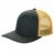 Dark Green/Gold