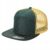Dark Green/Yellow