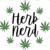 Adult (12" Wide)