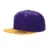 Purple/Gold
