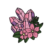 Pink/Purple
