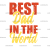 Adult (12" Wide)