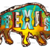 Texas Buffallo DTF Transfer