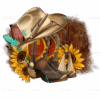Western Boots And Hat Cowboy DTF Transfer