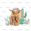Western Heifers DTF Transfer