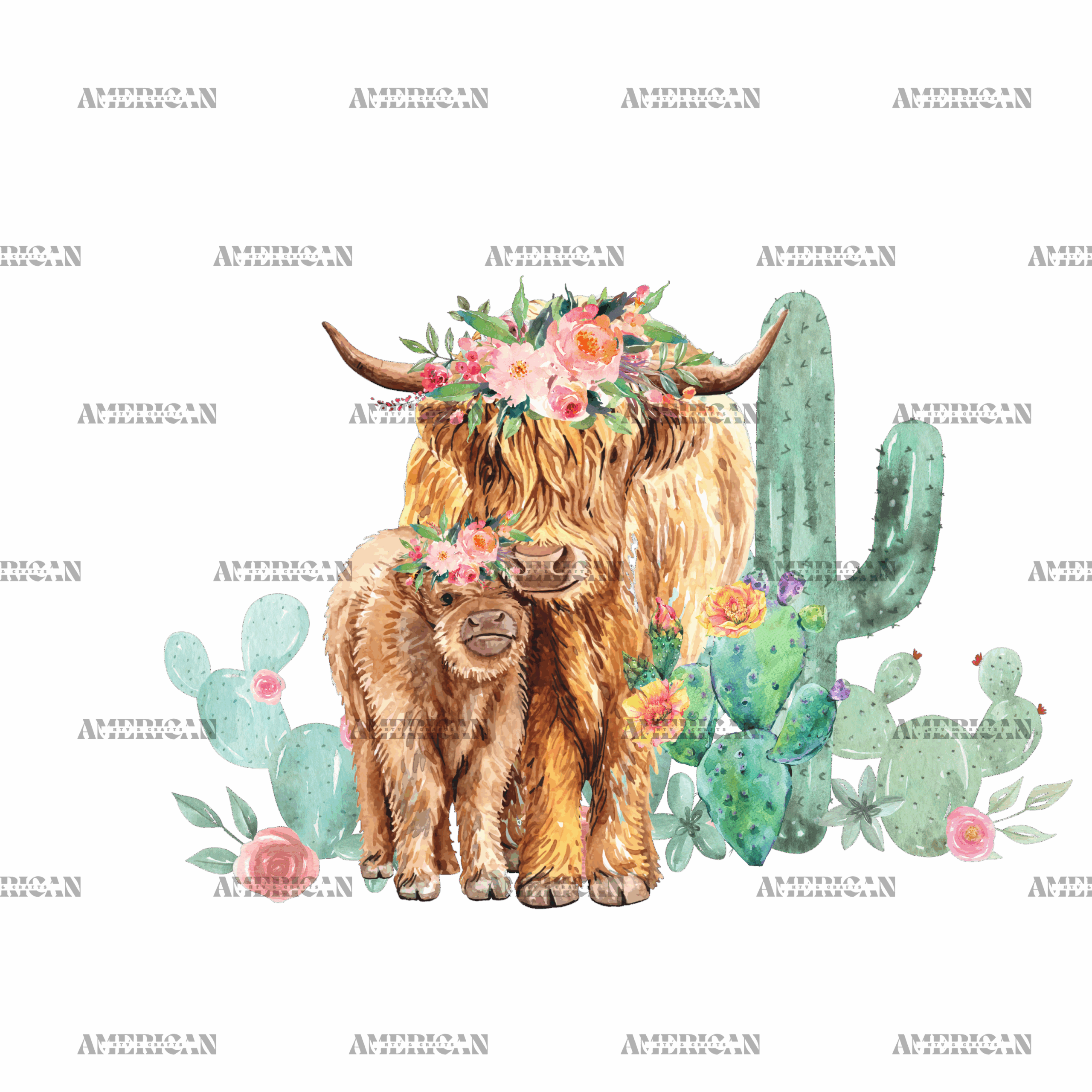 Western Heifers DTF Transfer